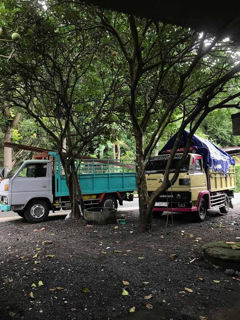 Jenis-Jenis Armada Angkut yang Sesuai untuk Berbagai Kebutuhan